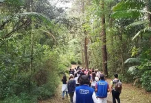 Descubra a experiência inesquecível do Parque de Ciência e Tecnologia da USP, onde lazer e aprendizado se unem em atividades interativas e educativas para toda a família.
