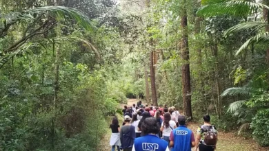 Descubra a experiência inesquecível do Parque de Ciência e Tecnologia da USP, onde lazer e aprendizado se unem em atividades interativas e educativas para toda a família.
