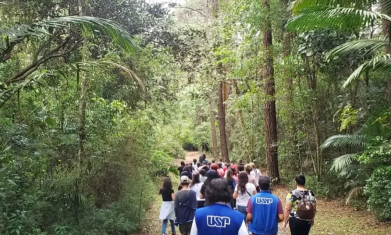 Descubra a experiência inesquecível do Parque de Ciência e Tecnologia da USP, onde lazer e aprendizado se unem em atividades interativas e educativas para toda a família.