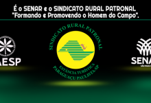 312558975 563398685589506 748742878441597125 n