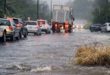 521202 283459 15012026174826