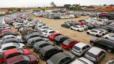 54009702289 8e5101c7f8 k 4 1024x683 1