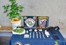 612718336 1303323051834944 4508562480438540393 n