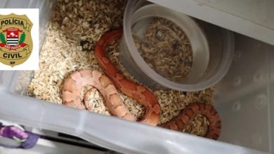 615053627 1179694781017970 1541654081406514554 n