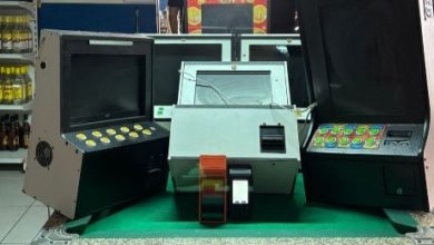 616816997 1186599833660798 8031526536059391233 n