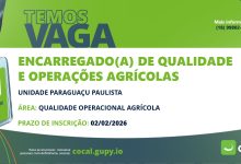 624182807 908306334926403 7274967347980220198 n