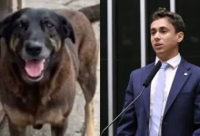 Deputado Nikolas Ferreira critica "justiça por orelha" e defende redução da maioridade penal após agressão a cachorro em Florianópolis.