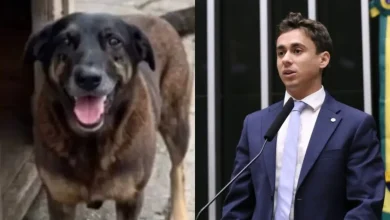 Deputado Nikolas Ferreira critica "justiça por orelha" e defende redução da maioridade penal após agressão a cachorro em Florianópolis.