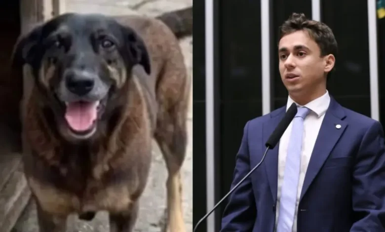 Deputado Nikolas Ferreira critica "justiça por orelha" e defende redução da maioridade penal após agressão a cachorro em Florianópolis.