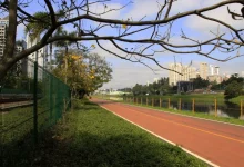 O Governo de SP lança consulta pública para aprimorar gestão e uso do Parque Bruno Covas, coletando opiniões sobre melhorias e desenvolvimento sustentável.