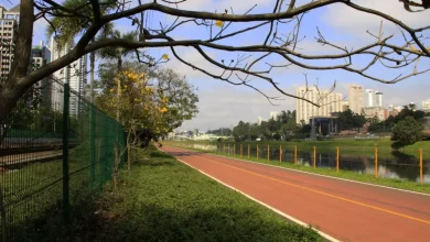 O Governo de SP lança consulta pública para aprimorar gestão e uso do Parque Bruno Covas, coletando opiniões sobre melhorias e desenvolvimento sustentável.