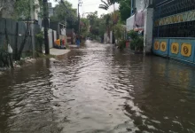 A leptospirose ameaça São Paulo: leptospirose pode causar consequências graves se não for tratada a tempo. Leia sobre riscos e importância do diagnóstico precoce.