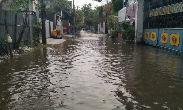 A leptospirose ameaça São Paulo: leptospirose pode causar consequências graves se não for tratada a tempo. Leia sobre riscos e importância do diagnóstico precoce.