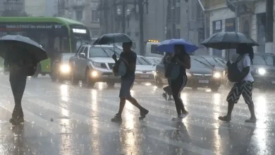 Chuva intensa castiga São Paulo e pode retornar nos próximos dias 5 Chuva intensa castiga São Paulo e pode retornar nos próximos dias, com pancadas isoladas e calor excessivo, é importante ficar atento aos alertas e prestar atenção às condições climáticas locais.