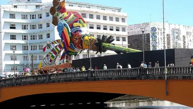 A escultura do Galo Folião Fraterno, localizada na Ponte Duarte Coelho, é um tributo ao legado de Dom Helder Câmara e Nise da Silveira, com materiais reciclados e arte 3D.