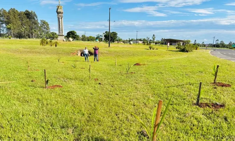 Lutécia/SP investe em arborização urbana para combater o calor e melhorar a qualidade do ar. Descubra como retirar sua muda gratuita e os recentes plantios na cidade.