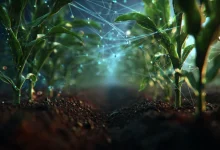A nanotecnologia está revolucionando o agronegócio brasileiro, impulsionando um mercado trilionário. Descubra os desafios de cibersegurança e digitalização que moldam o futuro do campo.