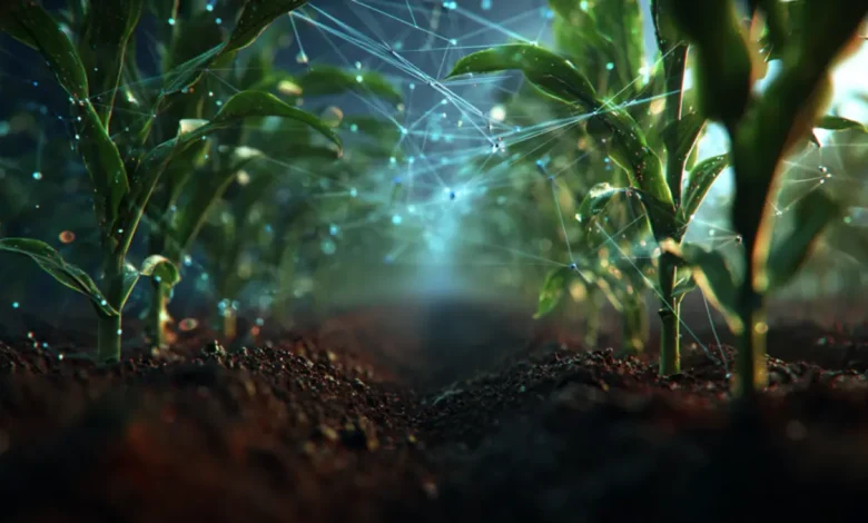A nanotecnologia está revolucionando o agronegócio brasileiro, impulsionando um mercado trilionário. Descubra os desafios de cibersegurança e digitalização que moldam o futuro do campo.