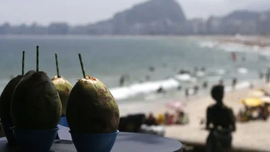 O Brasil superou a meta de turismo internacional em 2025, atraiu 9,3 milhões de visitantes estrangeiros e lidera o ranking global com crescimento de 37%.