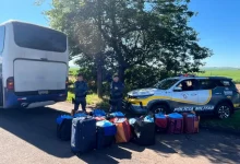 Autoridades estaduais apreenderam mais de 350 quilos de folhas de coca originárias da Bolívia, evitando a entrada da droga no mercado ilegal do Estado de São Paulo.