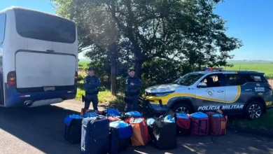 Autoridades estaduais apreenderam mais de 350 quilos de folhas de coca originárias da Bolívia, evitando a entrada da droga no mercado ilegal do Estado de São Paulo.