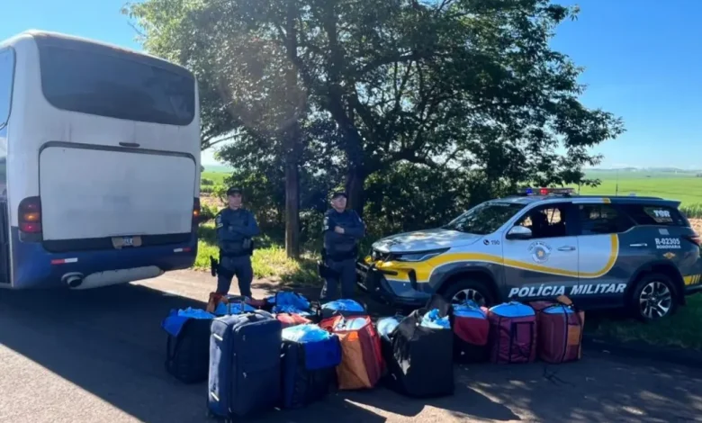 Autoridades estaduais apreenderam mais de 350 quilos de folhas de coca originárias da Bolívia, evitando a entrada da droga no mercado ilegal do Estado de São Paulo.