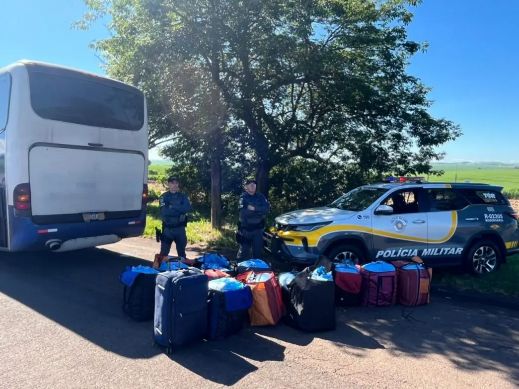 Autoridades estaduais apreenderam mais de 350 quilos de folhas de coca originárias da Bolívia, evitando a entrada da droga no mercado ilegal do Estado de São Paulo.