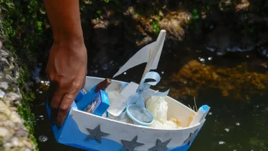 Dia de Iemanjá em Teresina: atentado vandaliza estátua e reforça luta contra intolerância religiosa no Brasil.