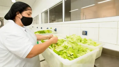 Conheça os riscos de doenças transmitidas por alimentos em casa e aprenda como adotar boas práticas de higiene e segurança alimentar para evitar problemas de saúde.