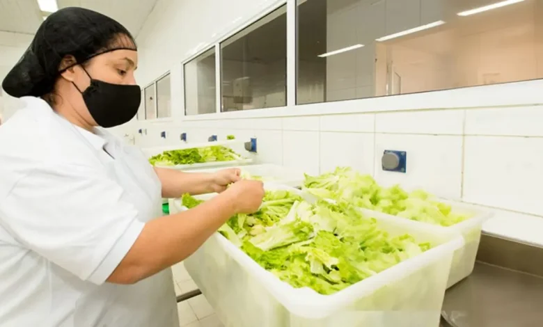 Conheça os riscos de doenças transmitidas por alimentos em casa e aprenda como adotar boas práticas de higiene e segurança alimentar para evitar problemas de saúde.