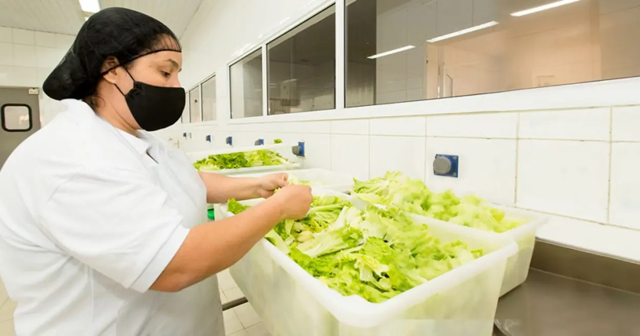 Riscos de Doenças Transmitidas por Alimentos em Casa 14 Conheça os riscos de doenças transmitidas por alimentos em casa e aprenda como adotar boas práticas de higiene e segurança alimentar para evitar problemas de saúde.