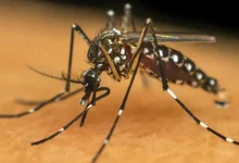 6 acoes importantes para elimina