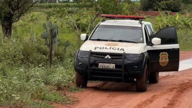 626931069 1195838319403616 61727