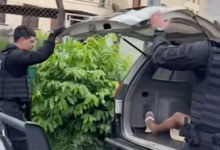 Captura de tela 2026 02 03 174514