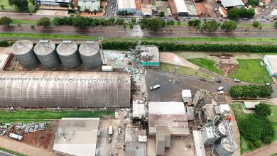 FB IMG 1771779282272