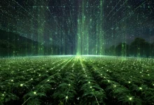 A Folha de Paraguaçu revela como a agtech brasileira IoTag foi selecionada para ser fornecedora oficial da John Deere, levando telemetria com IA para o agronegócio.