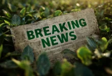 A transformação digital no agronegócio é vital. Entenda como tecnologia e cibersegurança moldam o futuro do campo, de drones a cercas virtuais, e os desafios da conectividade rural.