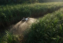 O mercado de drones agrícolas no Brasil cresceu 1.067%, de 3 mil para 35 mil unidades, movimentando US$ 77 milhões. Descubra como essa revolução tecnológica exige mais cibersegurança e análise de dados no campo.