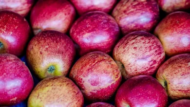 Mudar hábitos alimentares para evitar doenças crônicas em crianças e adolescentes, priorizando alimentos naturais e minimamente processados.