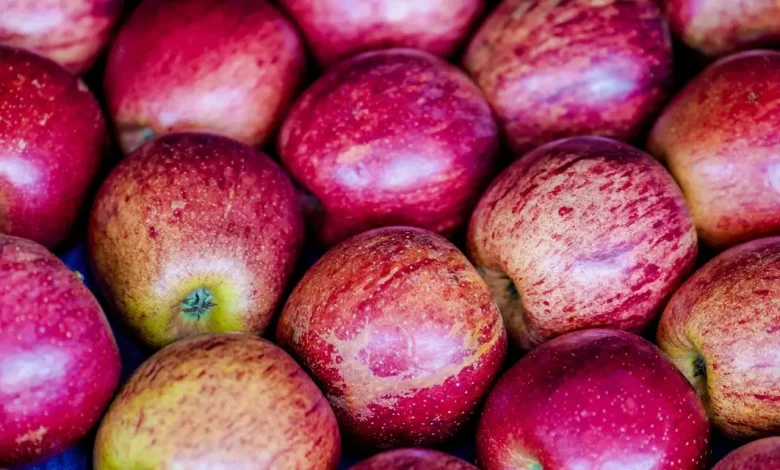 Mudar hábitos alimentares para evitar doenças crônicas em crianças e adolescentes, priorizando alimentos naturais e minimamente processados.