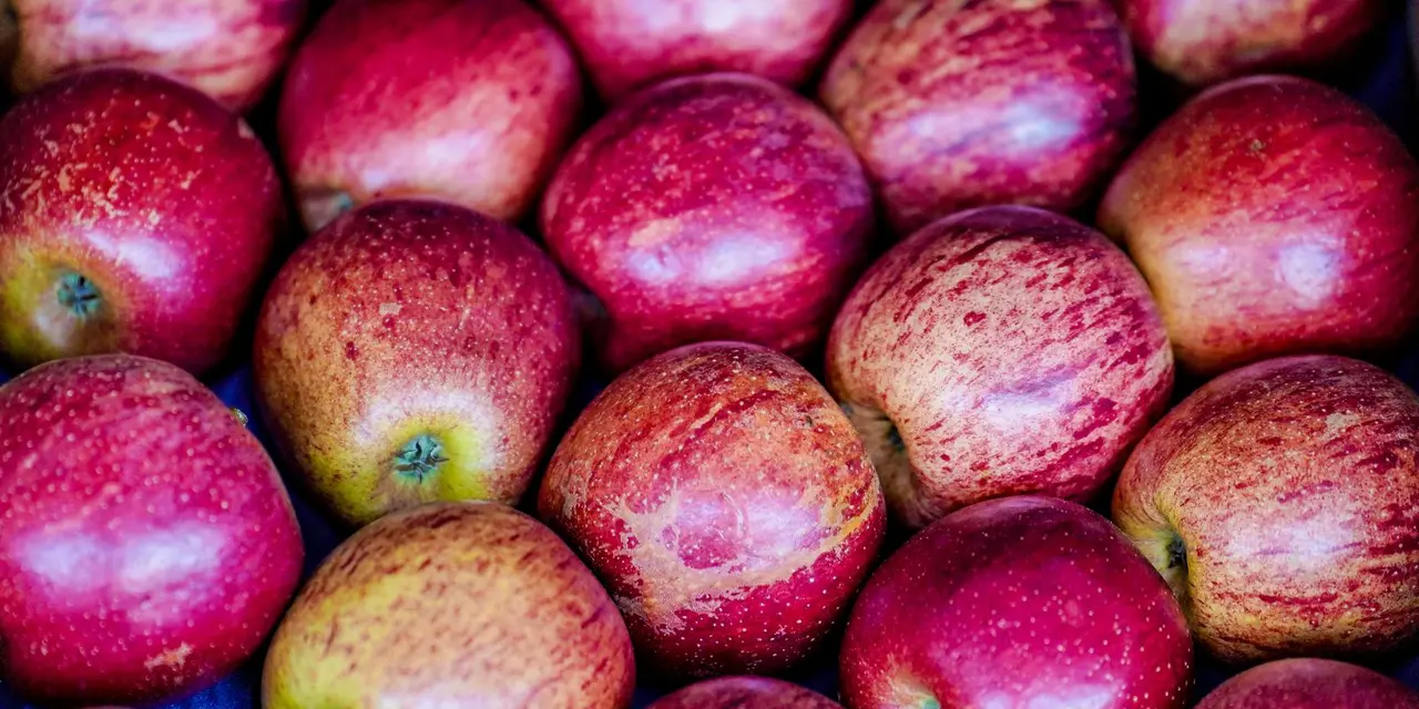 Mudar hábitos alimentares para evitar doenças crônicas em crianças e adolescentes, priorizando alimentos naturais e minimamente processados.