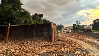 Acidente entre caminhão e moto em Assis bloqueia Raposo Tavares, espalhando carga de mandioca e gerando congestionamento na via. Saiba os detalhes.