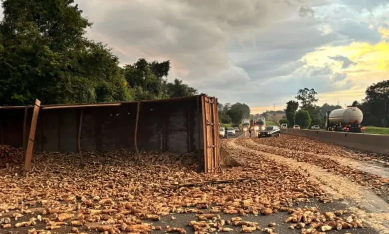 Acidente entre caminhão e moto em Assis bloqueia Raposo Tavares, espalhando carga de mandioca e gerando congestionamento na via. Saiba os detalhes.