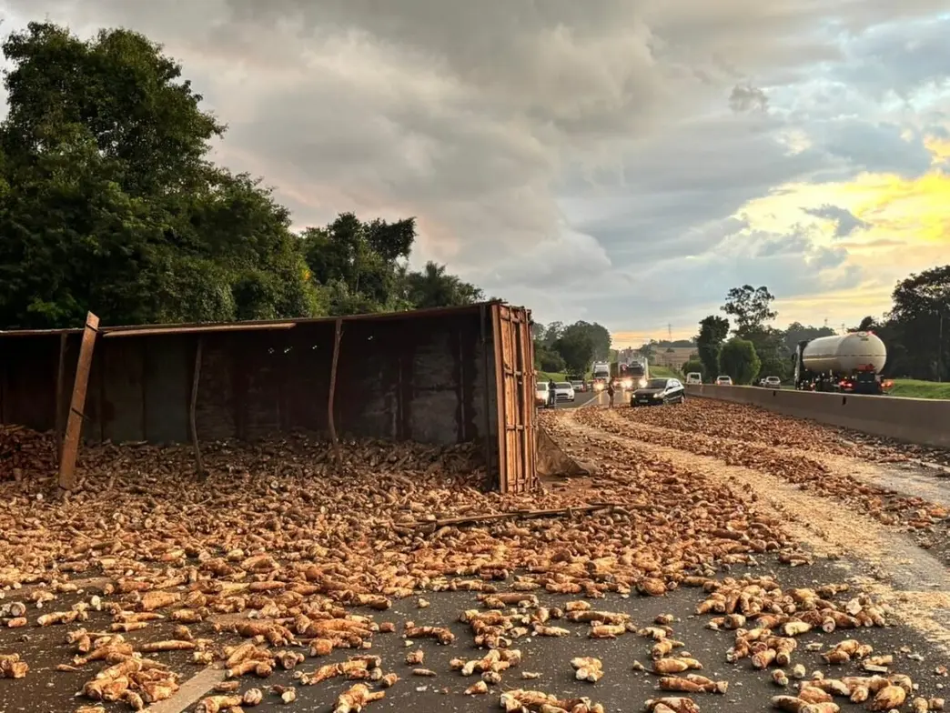 Acidente entre caminhão e moto em Assis bloqueia Raposo Tavares, espalhando carga de mandioca e gerando congestionamento na via. Saiba os detalhes.