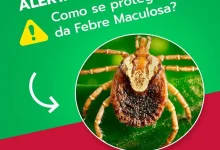A Secretaria de Saúde de Tarumã emite alerta crucial sobre febre maculosa. Saiba como se proteger, reconhecer sintomas e buscar ajuda para evitar riscos na região.
