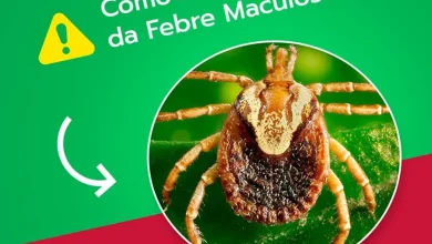 A Secretaria de Saúde de Tarumã emite alerta crucial sobre febre maculosa. Saiba como se proteger, reconhecer sintomas e buscar ajuda para evitar riscos na região.