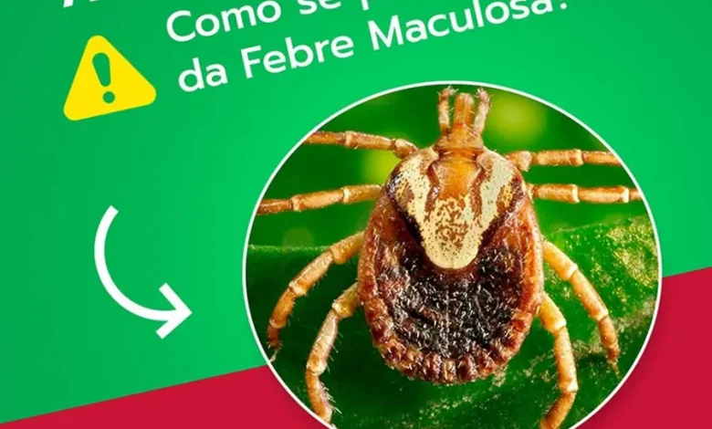 A Secretaria de Saúde de Tarumã emite alerta crucial sobre febre maculosa. Saiba como se proteger, reconhecer sintomas e buscar ajuda para evitar riscos na região.