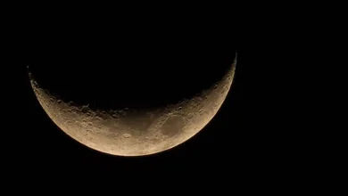 A Lua Nova em Áries chega como o empurrão que faltava para os seus projetos. Descubra como essa energia de renovação pode transformar sua vida agora.