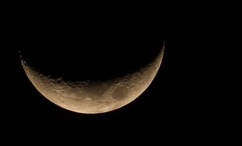 A Lua Nova em Áries chega como o empurrão que faltava para os seus projetos. Descubra como essa energia de renovação pode transformar sua vida agora.