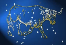 A temporada de Touro chegou trazendo energia de pé no chão. Confira dicas para reforçar sua segurança emocional e manter o foco na rotina.